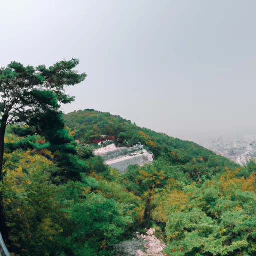 한국 온라인 베이프 샵