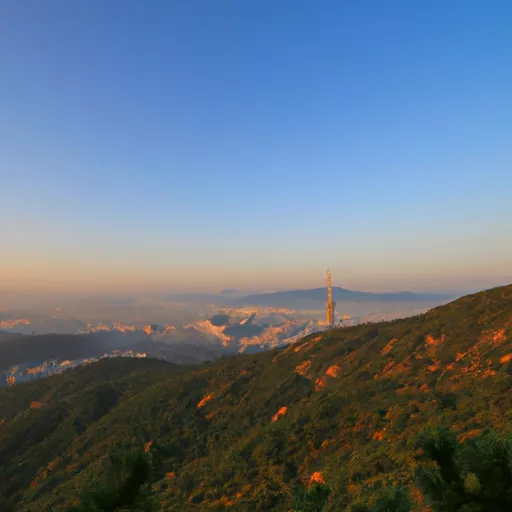 한국 온라인 베이프 샵