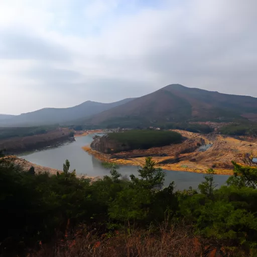 전자 액상 구매