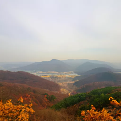 일회용 베이프 코리아