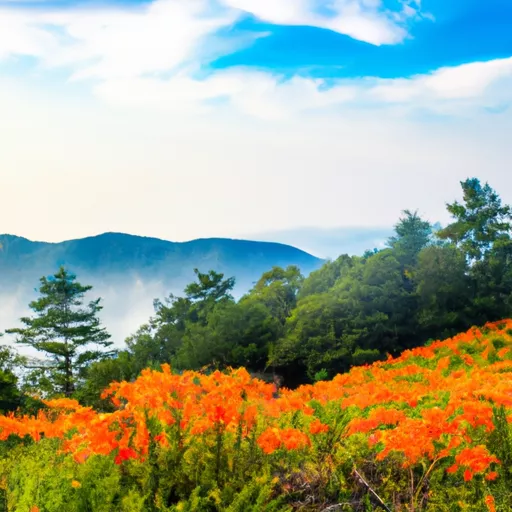 한국 베이프