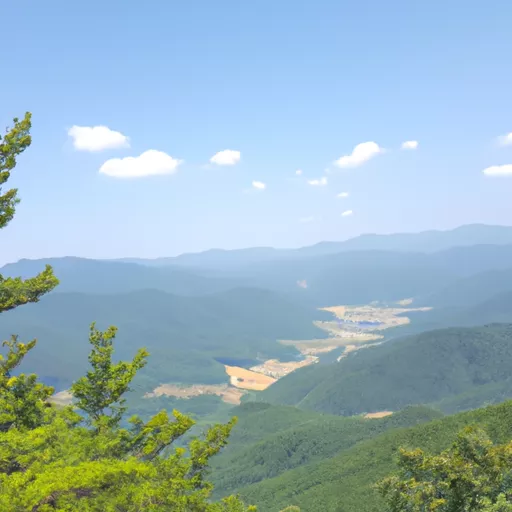 베이프 코일 교체 한국