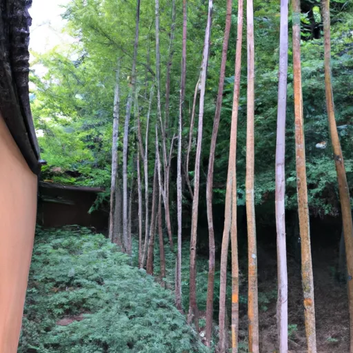 베이프 코일 교체 한국