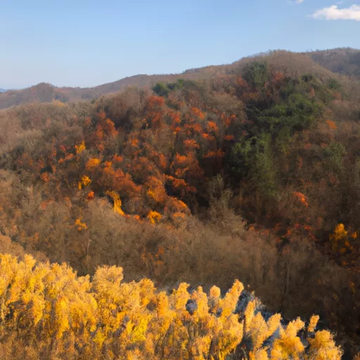 베이프 액세서리 추천