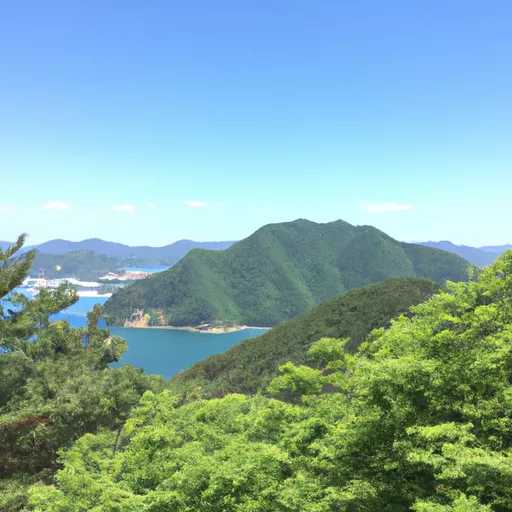 한국 온라인 베이프 샵