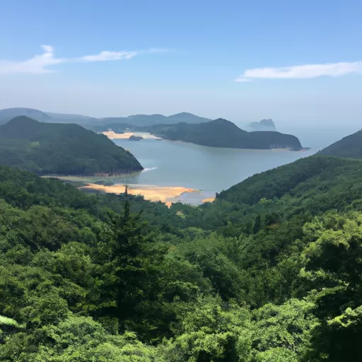 한국 온라인 베이프 샵