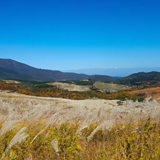 한국 온라인 베이프 샵