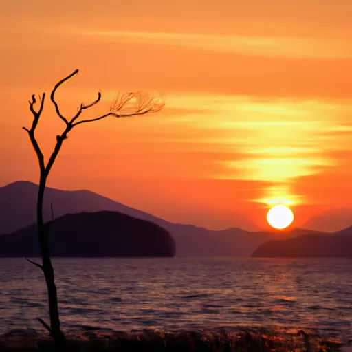 베이프 충전기 구매하기