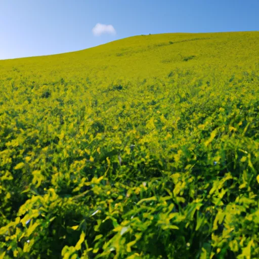 베이프 기기 구매