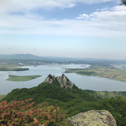 베이프 코일 구매