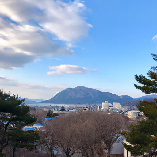 한국 온라인 베이프 샵