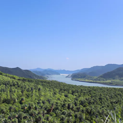 한국 온라인 베이프 샵