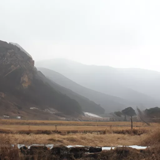 한국 최고의 베이프