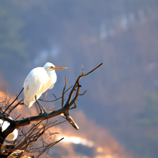 베이프 기기 구매