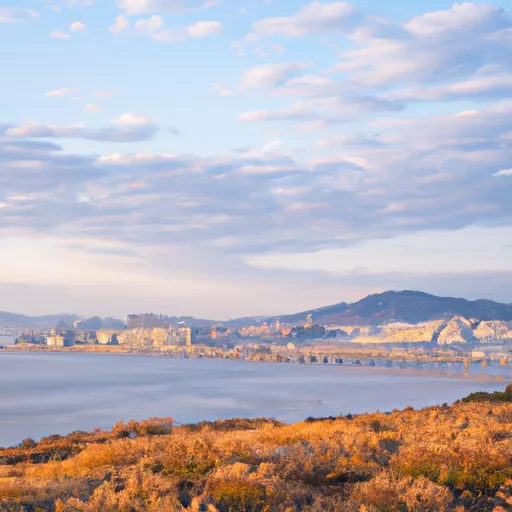 한국의 베이프 가격